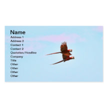 Scarlet Mackaw Couple Flying Business Card Template