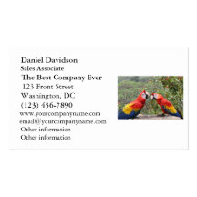 Scarlet Mackaws Business Cards