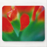 Scarlet Paintbrush Mousepad