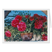 Scarlet Peonies by H.D. Peterson - 1972 Greeting Cards