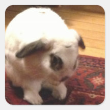 Scary Bunny Square Sticker
