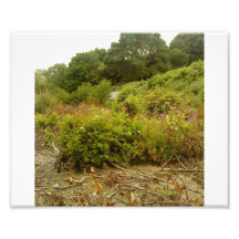 scene from ireland art photo