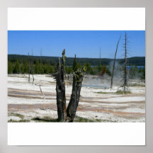Scenes from Yellowstone 2 Posters