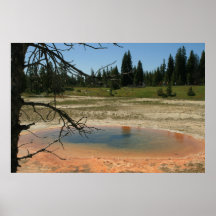 Scenes from Yellowstone #6 Poster