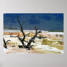 Scenes from Yellowstone #7 Poster
