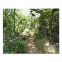 Scenic dirt path photo print