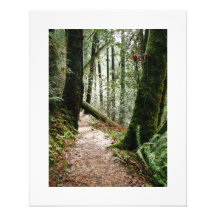 Scenic Oregon Photography Print