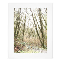 Scenic Oregon Photography Print