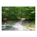 Scenic View Card