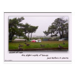 Scent of Rain Post Card