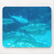School of Dolphins Mouse Pad