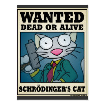 Schrödinger's Cat Postcard