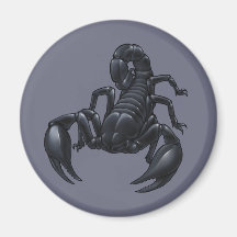 Scorpion Magnets