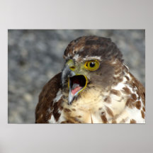Screech Posters