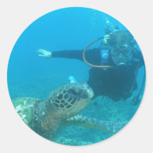Scuba Underwater Life Stickers