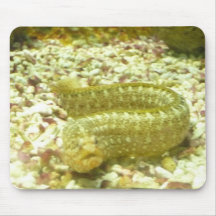 Sea Animal mousepad