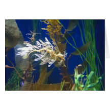 Sea Dragon Card