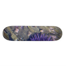 Sea Erchins Tidepools Skateboard