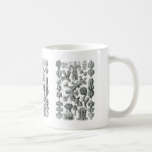 Sea fans mugs