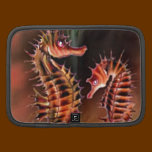 Sea Horse Fantasy collection planners