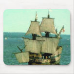 Sea Lion Mouse Pads