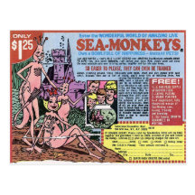 Sea Monkeys Post Card