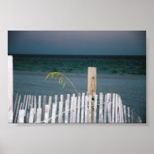sea oat print