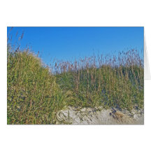 Sea Oats and Dunes OBX Note Card