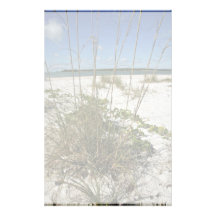 Sea oats and other beach vegetation personalized stationery