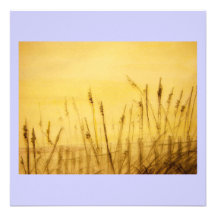 sea oats announcement