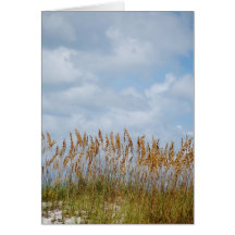 Sea Oats Card