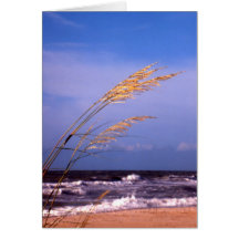 Sea Oats Cards