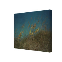 Sea Oats Gallery Wrapped Canvas
