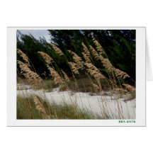 Sea Oats Greeting Cards