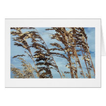 SEA OATS GREETING CARDS
