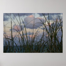 Sea Oats in the Evening Poster