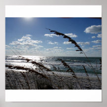 Sea oats posters