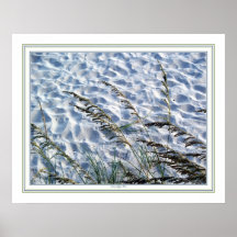 Sea Oats Print