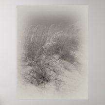 Sea Oats Print