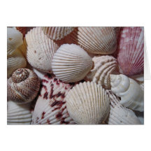 Sea Shell Note Card
