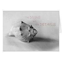 Sea Shell Photo Inspiration Greeting Card