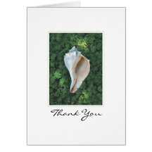 Sea Shell Thank You Note Card