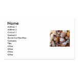 Sea Shells and Starfish by the Sea  Shore Business Card Template