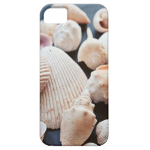 Sea Shells Case iPhone 5 Cases