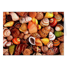 Sea Shells Greeting Cards