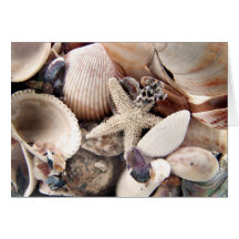 Sea Shells Greeting Cards