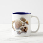 Sea Shells Mugs