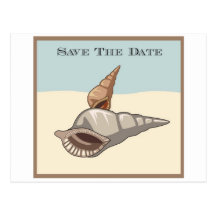 Sea Shells Save the Date Post Card