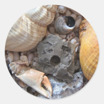 Sea Shells Upon the Beach Round Sticker