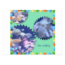 Sea surfing post cards